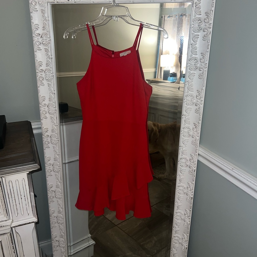 Red Gianni Bini dress.